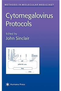 Cytomegalovirus Protocols