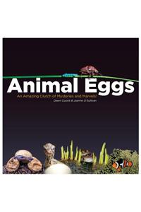 Animal Eggs