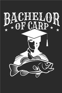 Bachelor of Carp