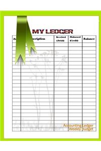 Accounting Ledger