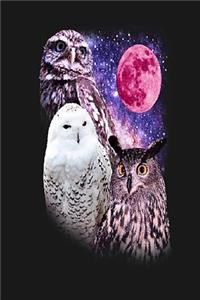 Owl Notebook