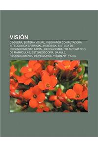 Vision: Ceguera, Sistema Visual, Vision Por Computadora, Inteligencia Artificial, Robotica, Sistema de Reconocimiento Facial