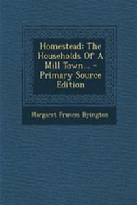 Homestead: The Households of a Mill Town... - Primary Source Edition