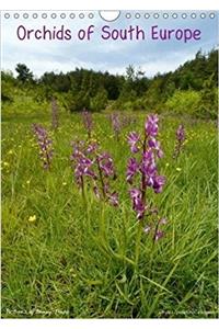 Orchids of South Europe 2018 / UK-Version 2018
