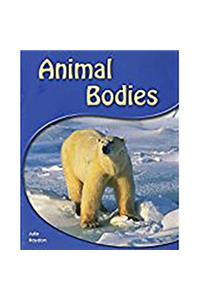 Animal Bodies