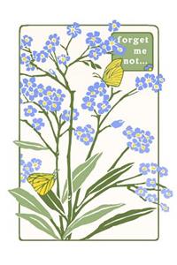 Forget-Me-Not (Boxed)