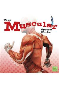 Your Body Systems Your Muscular System Works