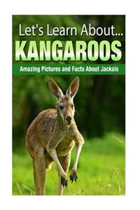 Kangaroos: Amazing Pictures and Facts about Kangaroos