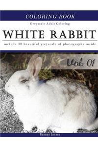 White Rabbits