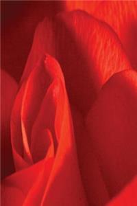 Pretty Red Rose Journal
