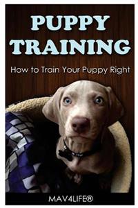 Puppy Training