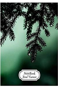 Notebook Pine