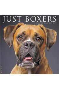 Just Boxers 2019 Wall Calendar (Dog Breed Calendar)