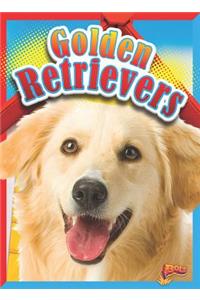 Golden Retrievers