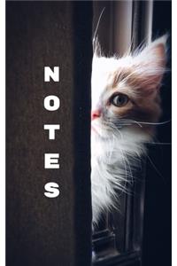 Notes