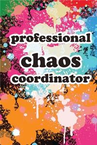 professional chaos coordinator