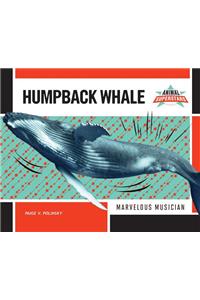 Humpback Whale
