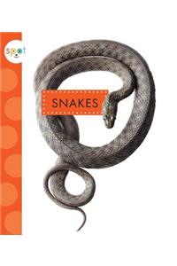 Snakes
