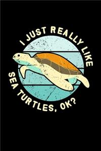 I Just Really Like sea Turtles, OK