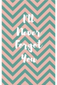 I'll Never Forget You