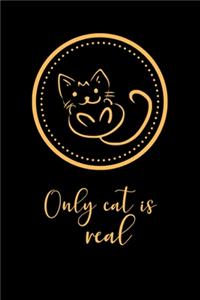 Only cat is real