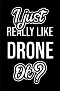 I Just Really Like Drone Ok?
