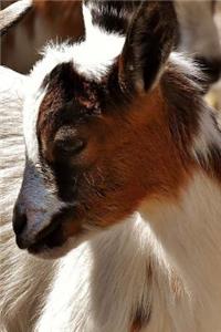 Goats Notebook