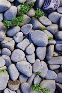 Between the Stones Notebook