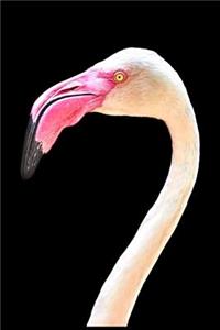 Flamingo Notebook