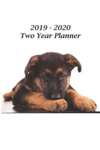 2019