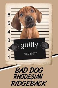 Bad Dog Rhodesian Ridgeback