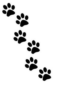 Paw Print Tracks