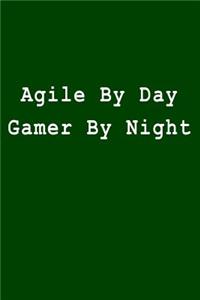 Agile by Day Gamer by Night
