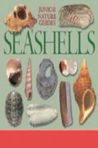 Seashells