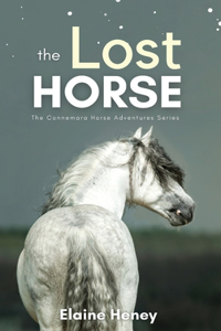Lost Horse - Book 6 in the Connemara Horse Adventure Series for Kids The Perfect Gift for Children