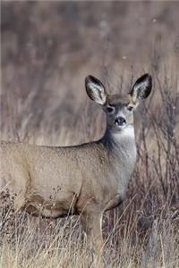 Deer In The African Wild Notebook