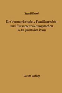 Vormundschafts-, Familienrechts- Und Fa1/4rsorgeerziehungssachen in Der Gerichtlichen Praxis