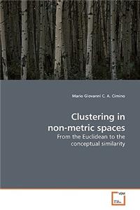 Clustering in non-metric spaces