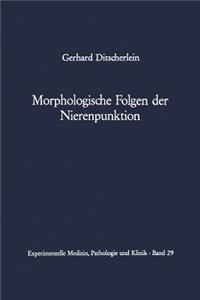 Morphologische Folgen Der Nierenpunktion