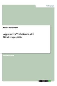 Aggressives Verhalten in der Kindertagesstätte