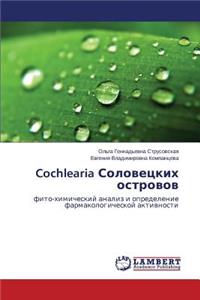 Cochlearia Solovetskikh ostrovov