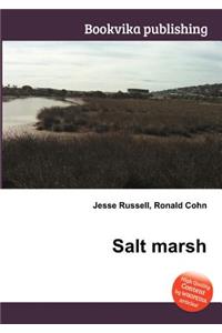 Salt Marsh