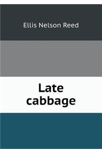 Late cabbage