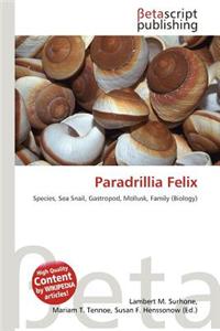 Paradrillia Felix