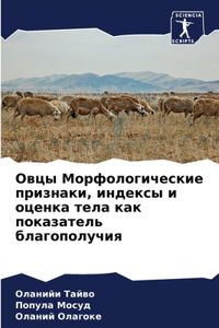Овцы Морфологические признаки, индексы и l