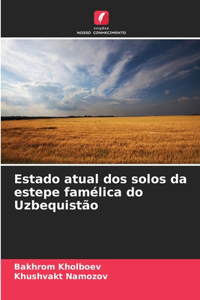 Estado atual dos solos da estepe famélica do Uzbequistão
