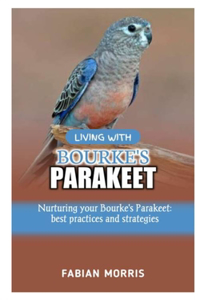 Living with Bourke's Parakeet