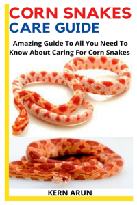 Corn Snakes Care Guide