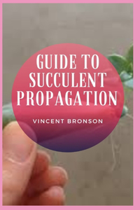 Guide to Succulent Propagation