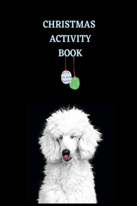 Christmas Activity Book.